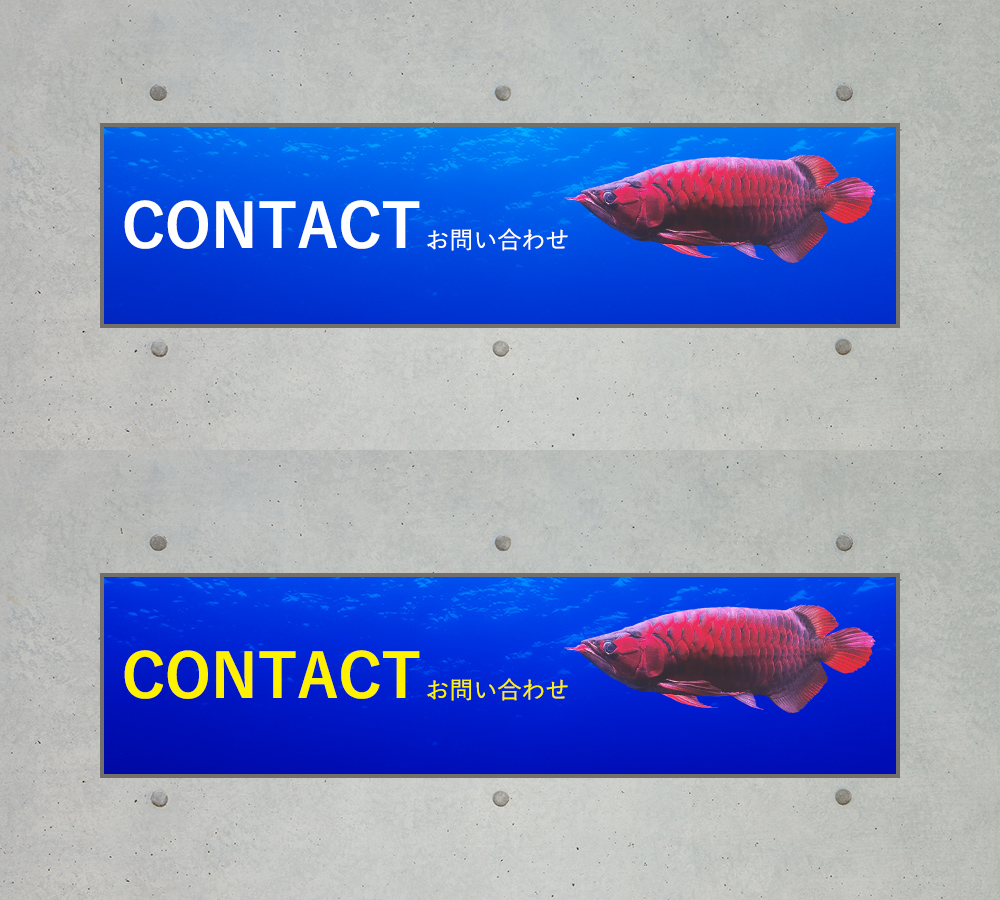 contact_half_banner